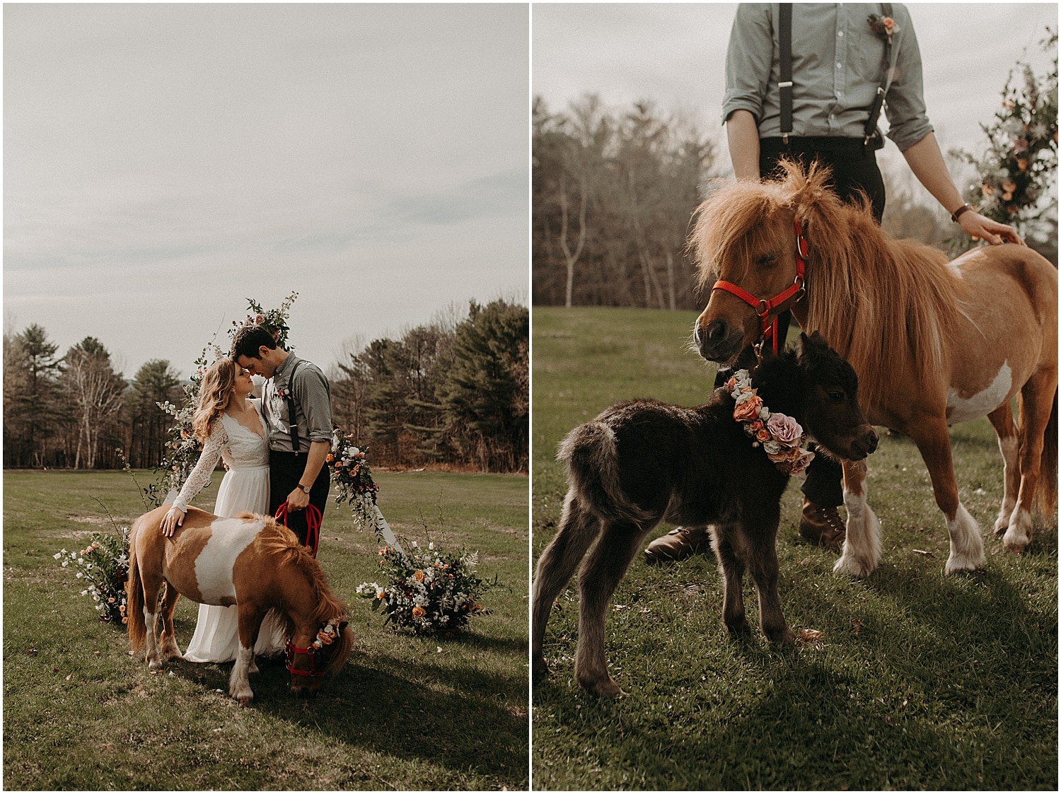 mini horse guests at the Wildflower Workshop 2019