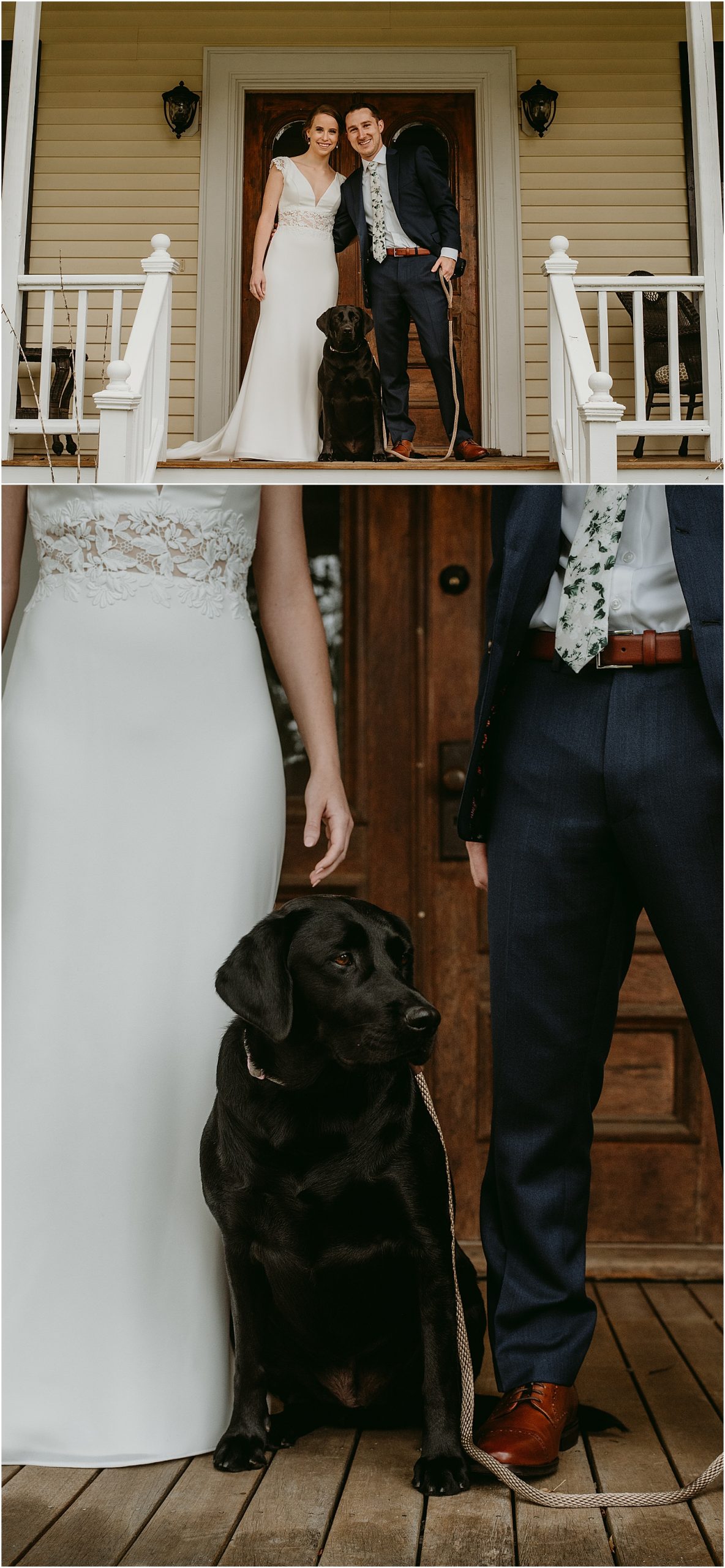 Dog at Maine wedding