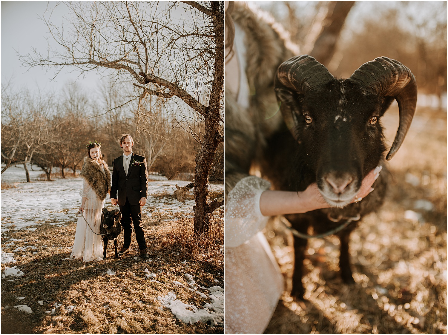 Maple Rock Farm Wedding with Goats